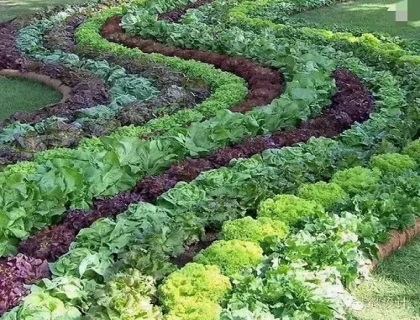 衡阳植物生态温室